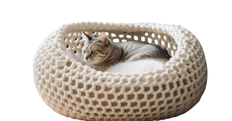 Fun Cat Beds: A Cozy and Playful Haven for Your Feline