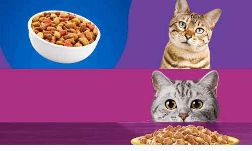 roger Pet Pride Pate Cat Food: A Comprehensive Overview