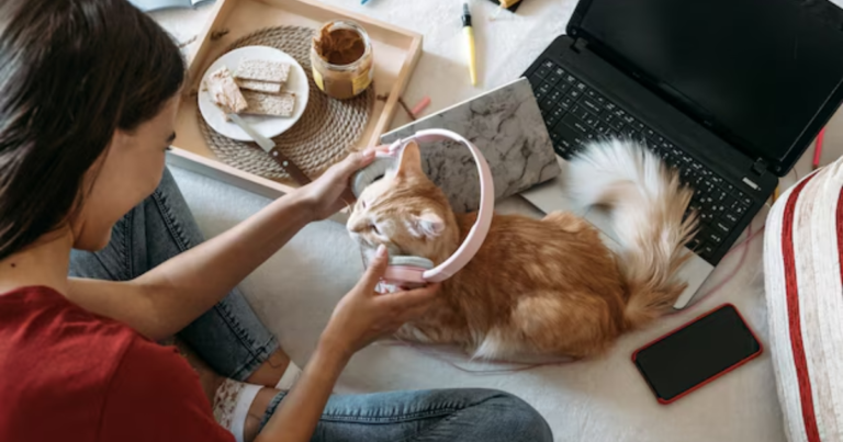 How to Start a Pet Care Blog